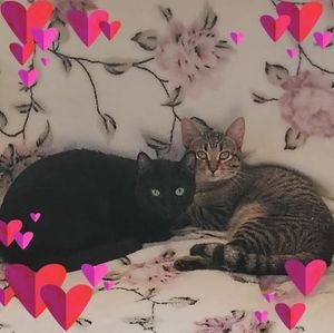 Meet your Posher, Roger